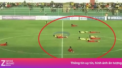 A swarm of bees attacked the entire football stadium in panic.