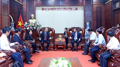 Provincial People's Committee received and worked with a delegation of Israeli experts and scientists in the field of high technology.