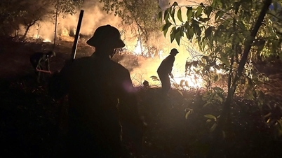 Mayat pria ditemukan saat memadamkan kebakaran hutan