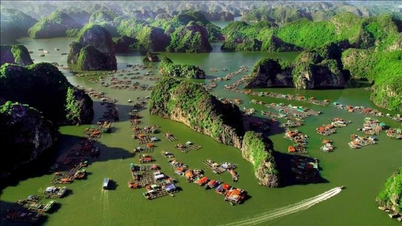 Konservasi keanekaragaman hayati di Taman Nasional Cat Ba