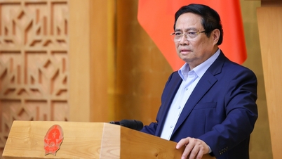 Thủ tướng: Không để thao túng thị trường vàng, làm rõ có hay không thổi giá chứng khoán