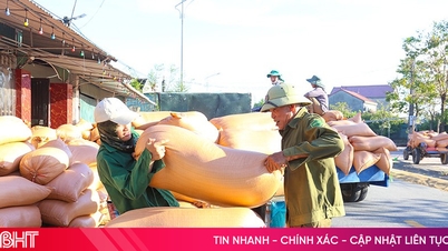 Giá lúa tươi giảm sâu, nông dân "đứng ngồi không yên" giữa cao điểm mùa vụ