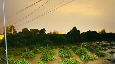 Thêm nhiều địa phương bị ảnh hưởng do mưa lũ, ước thiệt hại 13,4 tỷ đồng