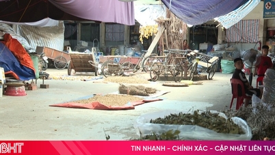 Örter "exponerade" på Ha Tinh-marknaden