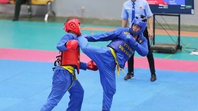 Le Championnat national de Vovinam 2025 aura lieu à Vinh Long