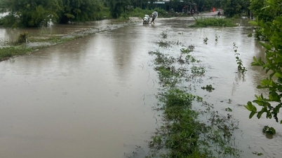 Beberapa komune di wilayah barat Dak Lak terendam banjir sebagian.
