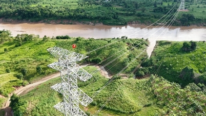 T&T Group: 6 bulan penyelesaian cepat jalur transmisi listrik dari Laos ke Vietnam