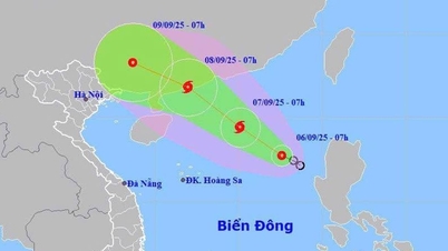 Áp thấp nhiệt đới ở đông bắc Biển Đông, Đà Nẵng sẽ có mưa vừa, mưa to