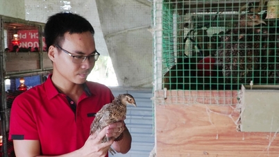 Khởi nghiệp nông thôn thời trí tuệ nhân tạo