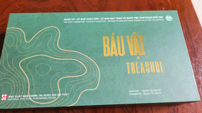 ទីក្រុង Da Nang សម្ពោធសៀវភៅរូបថត "កំណប់ទ្រព្យ"