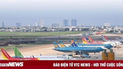 Vé bay hạng phổ thông Tết Nguyên đán 2026 khan hiếm, giá tăng cao