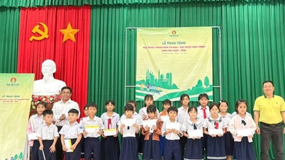 PVCFC spends more than 3 billion VND to award scholarships for the 2025-2026 school year