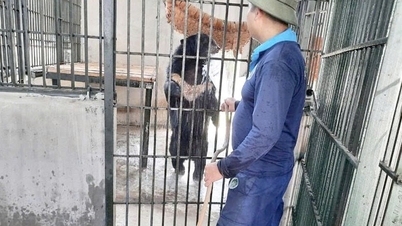 Centrum Ratownictwa Dzikich Zwierząt w Hanoi: