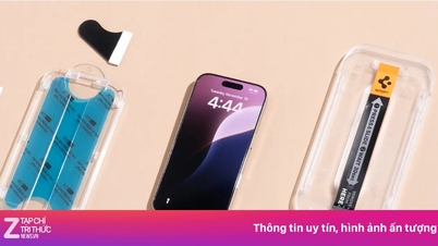 Cú lừa miếng dán màn hình lọc ánh sáng xanh