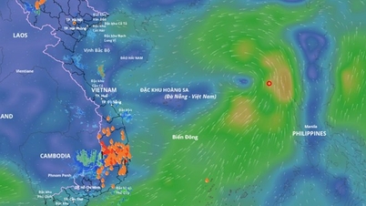 Forecast of the possibility of storm number 7 in the next 24 hours