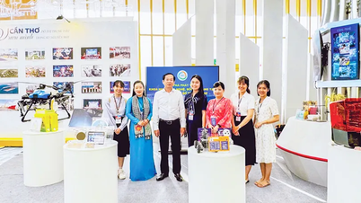 Triển lãm “Rạng rỡ Cần Thơ - Vị thế mới, tầm nhìn mới” - Ấn tượng thành tựu của thành phố sau 80 năm