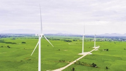 باك نينه يطلب آراء بشأن مشروع طاقة الرياح بقدرة 55 ميجاوات