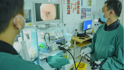 Phát hiện chuỗi ung thư di truyền trong cùng một gia đình do mắc hội chứng Lynch