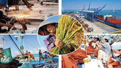 Bức tranh kinh tế Việt Nam 8 tháng năm 2025: Nhiều gam màu sáng
