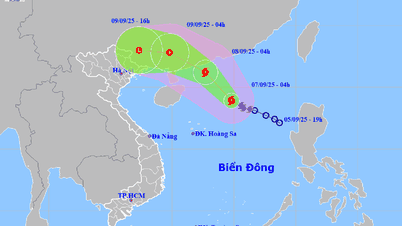 Typhoon No. 7 will make landfall in China