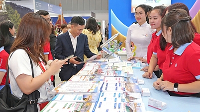 Suchen Sie nach Touren zu Schockpreisen und erleben Sie umweltfreundliches Reisen beim ITE HCMC 2025
