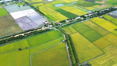 Tay Ninh beschleunigt Versteigerung von Landnutzungsrechten