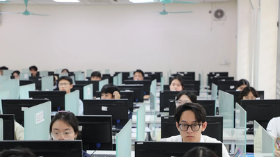 Chủ tịch UBND tỉnh phê duyệt liên kết tổ chức thi cấp chứng chỉ năng lực ngoại ngữ