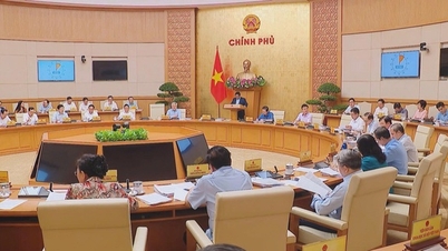 Thủ tướng chỉ đạo chấn chỉnh thị trường vàng: Giá vàng trong nước tăng kỷ lục