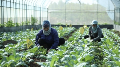 Dezvoltarea agriculturii către tehnologie avansată, ecologie și valoare multiplă