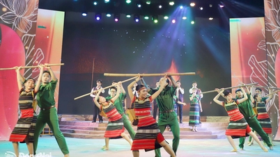 মেলোডি ডং নাই পরিচয় ছড়িয়ে দেয়