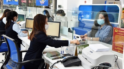 Định hướng chỉ đạo, điều hành chính sách tài khóa, chính sách tiền tệ