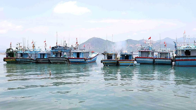 Phu My Dong refuerza la supervisión de los barcos pesqueros que violan las regulaciones