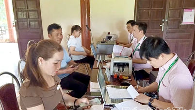 Cao Phong Social Policy Bank Transaction Office: Freigabe des bevorzugten Kapitalflusses