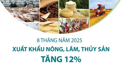 Agricultural, forestry and fishery exports in the first 8 months of 2025 increased by 12%