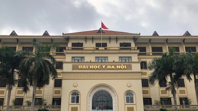 Ứng viên phó giáo sư trẻ tuổi nhất trường y là nữ, sinh năm 1987