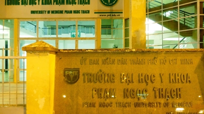 Proč byl pan Nguyen Thanh Hiep potrestán napomenutím?