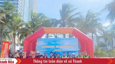 DanangBest - A melhor empresa de viagens de Danang com boa reputação, passeios com bom preço em 2025