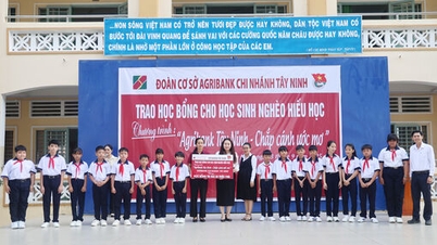 Το υποκατάστημα της Agribank Tay Ninh απονέμει υποτροφίες Wings of Dreams