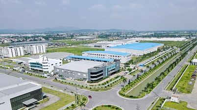 Phát triển công nghiệp xanh, bền vững