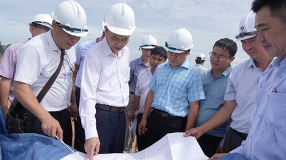 Quảng Ngãi cam kết khắc phục dứt điểm các tồn tại trong khai thác IUU