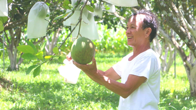 Produksi pertanian terkait dengan pasar: Efisiensi "Ganda"