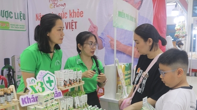 EWEC - Pameran Da Nang 2025 dijangka mempunyai 350 gerai