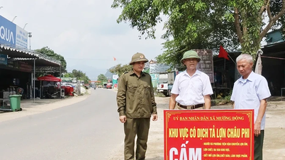 Erfahrungen bei der Prävention und Bekämpfung der Afrikanischen Schweinepest in Kim Duc.