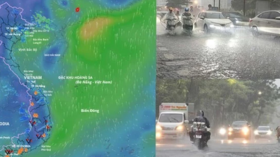 139 xã, phường có nguy cơ lũ quét, sạt lở đất do hoàn lưu bão số 7