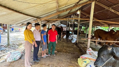 Hỗ trợ người chấp hành xong án phạt tù tái hòa nhập cộng đồng