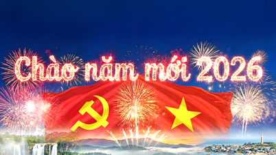 Editorial: Lam Dong – Ein Reiseziel mit tausenden Blumen, weiten Wäldern und blauem Meer