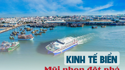 Marine economy - A breakthrough spearhead for Lam Dong's economy.