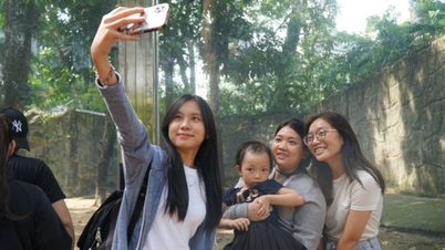 Ciudad Ho Chi Minh: 4 destinos ideales para divertirse y ofertas atractivas para las vacaciones de Año Nuevo 2026.