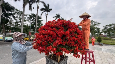 La ville de Hai Phong brille de mille feux pour accueillir la nouvelle année 2026.