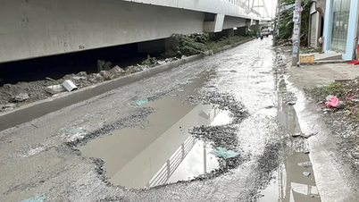 Mieszkańcy domagają się jak najszybszej modernizacji lokalnej drogi w pobliżu mostu Tran Hoang Na.